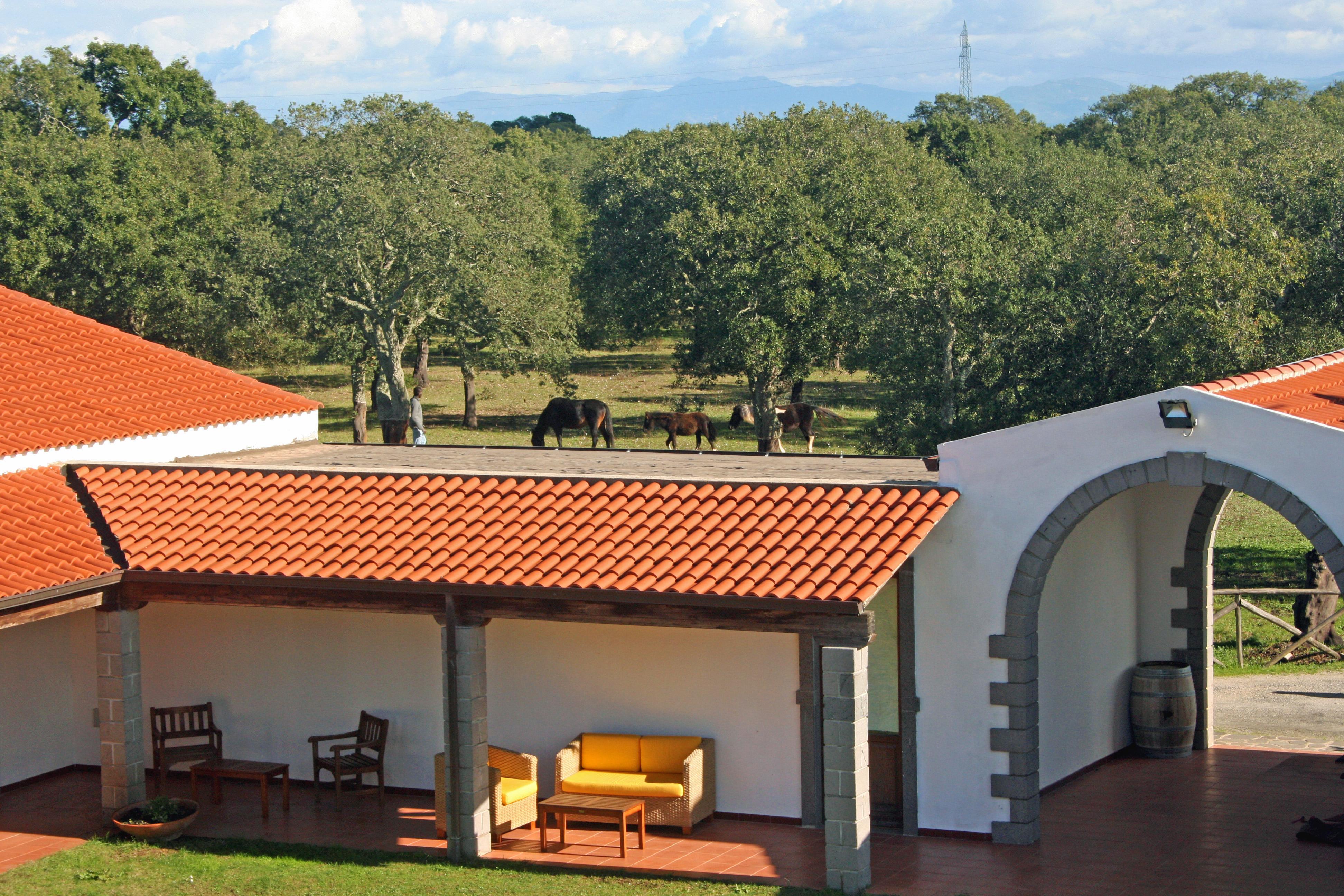 Hotel Su Baione Abbasanta Exterior photo